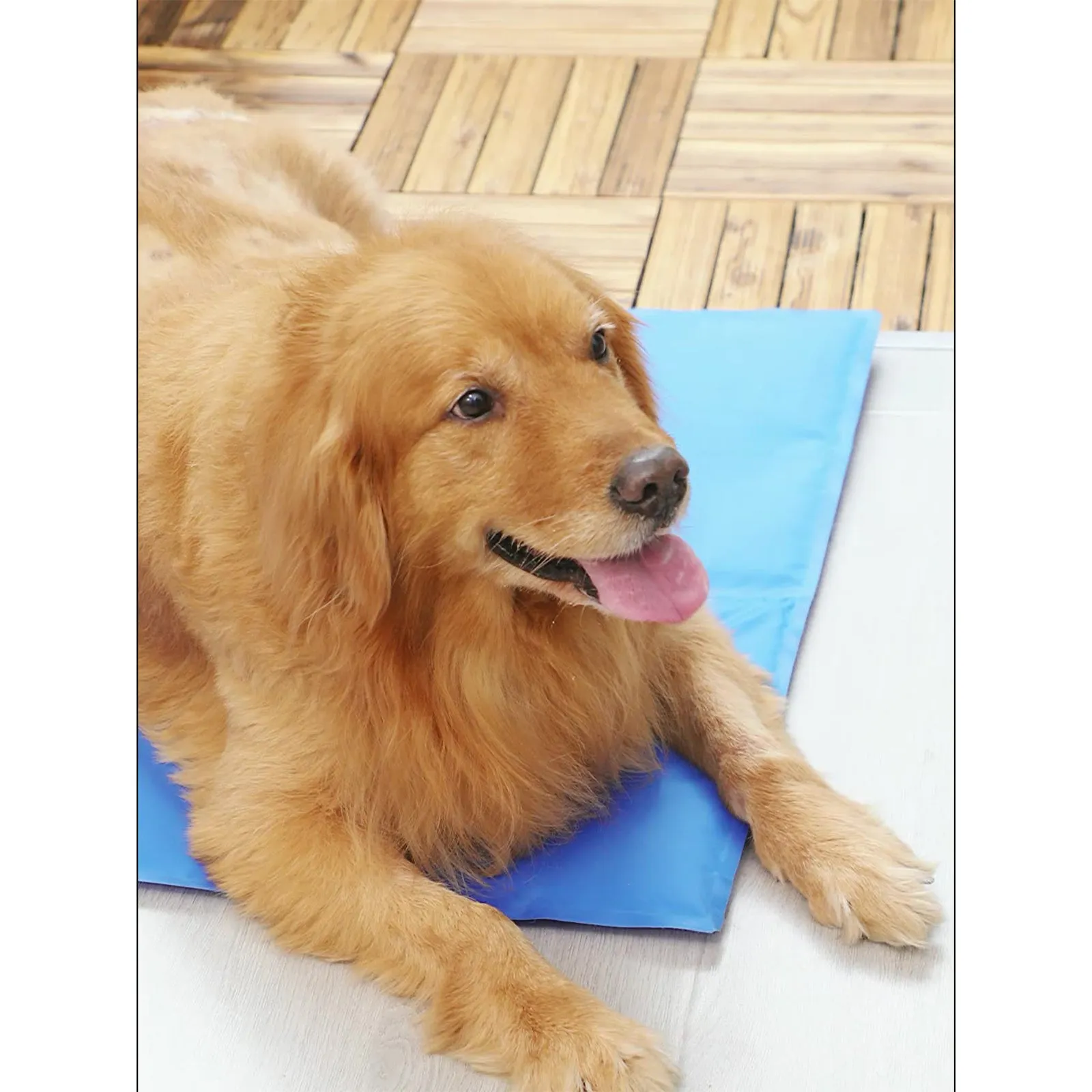 Blue Waterproof Pet Cooling Mat 40x30cm, Polyester