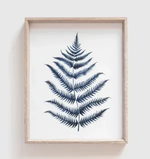 Fern | Blue