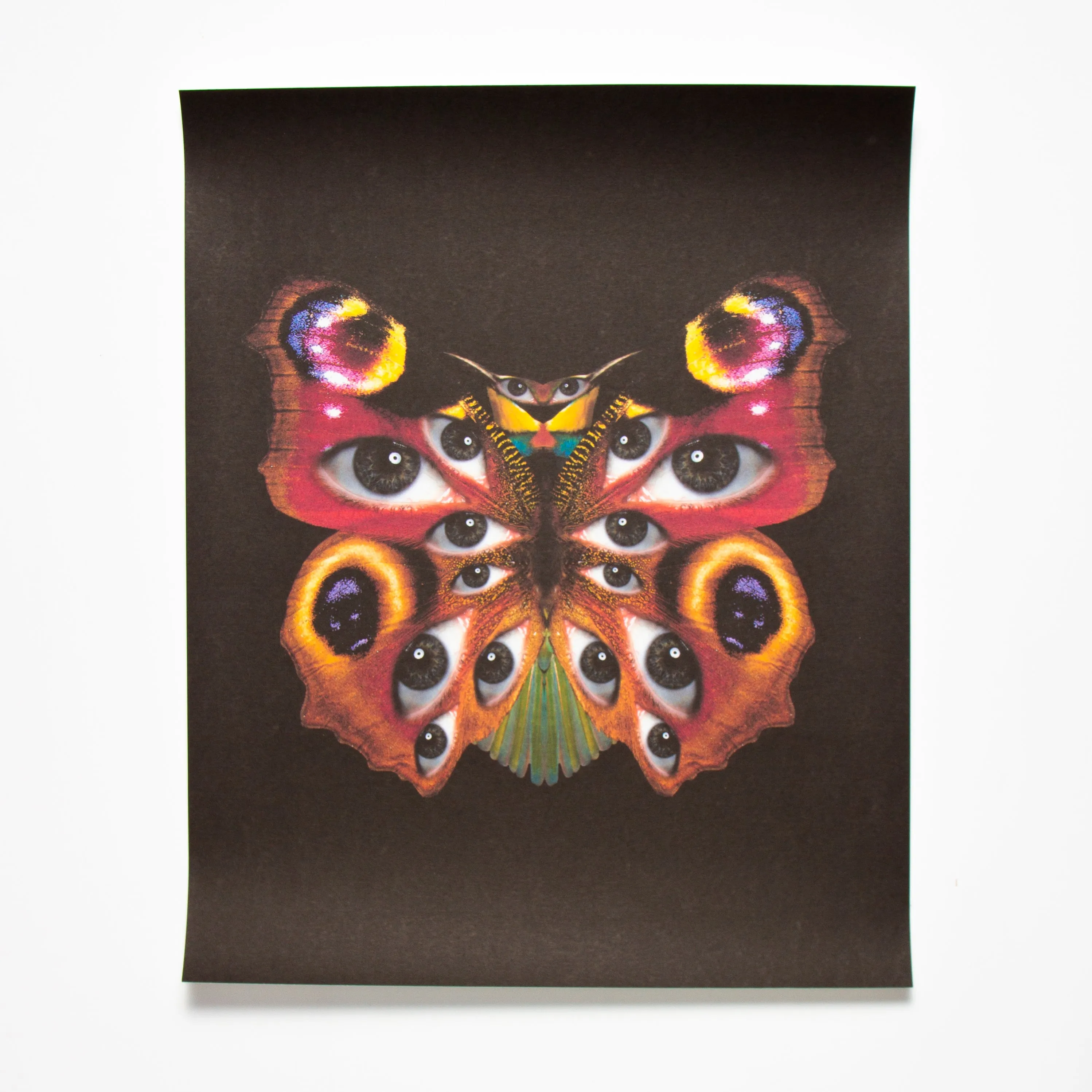 Nutterfly - Art Print