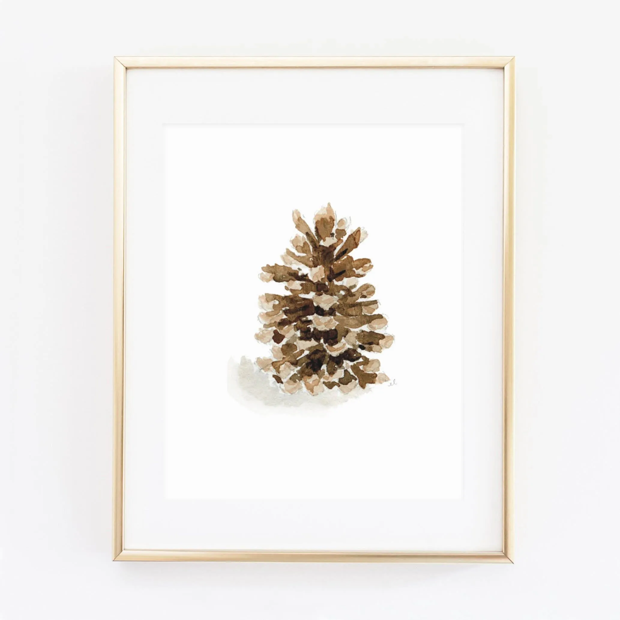 pinecone art print