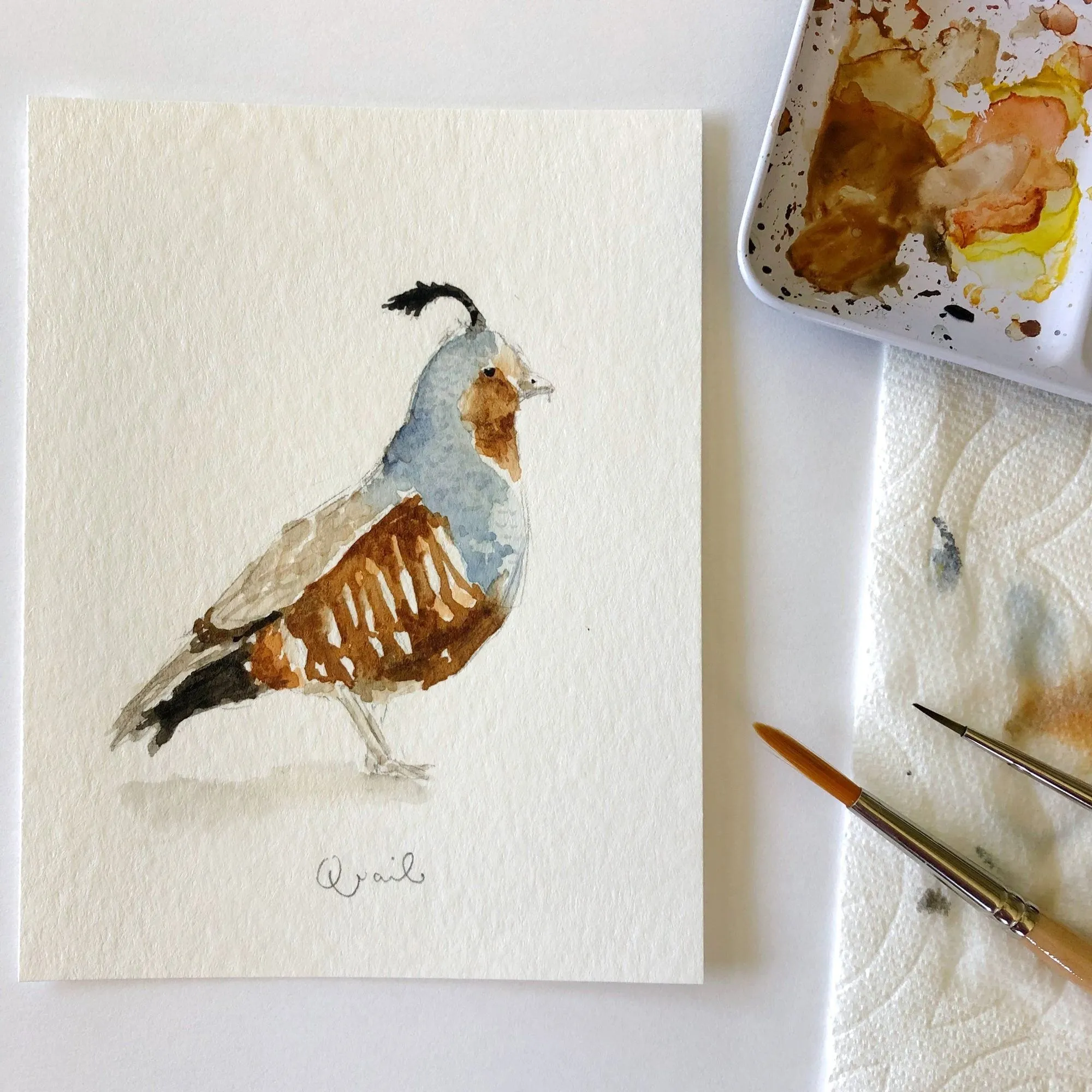 quail art print