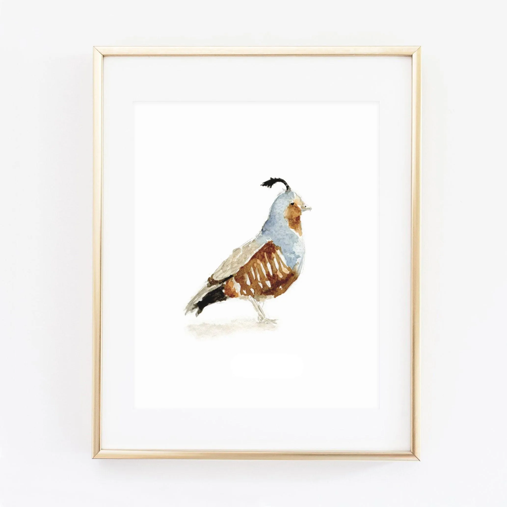 quail art print